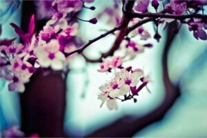 Beginner-Friendly Gardening Projects That Keep You Moving